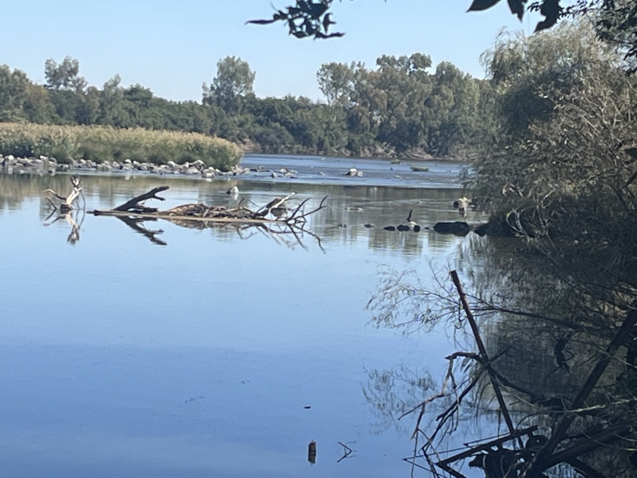 27 Bedroom Property for Sale in Potchefstroom Rural North West